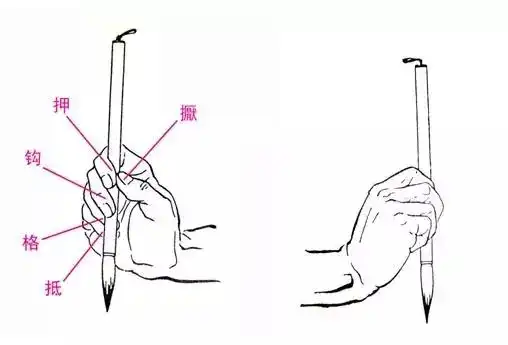 握毛笔,五根手指要这样用才行!