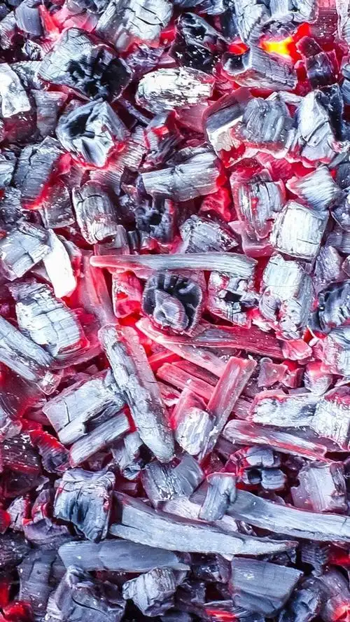 静物,灰烬,木炭,火种,热源