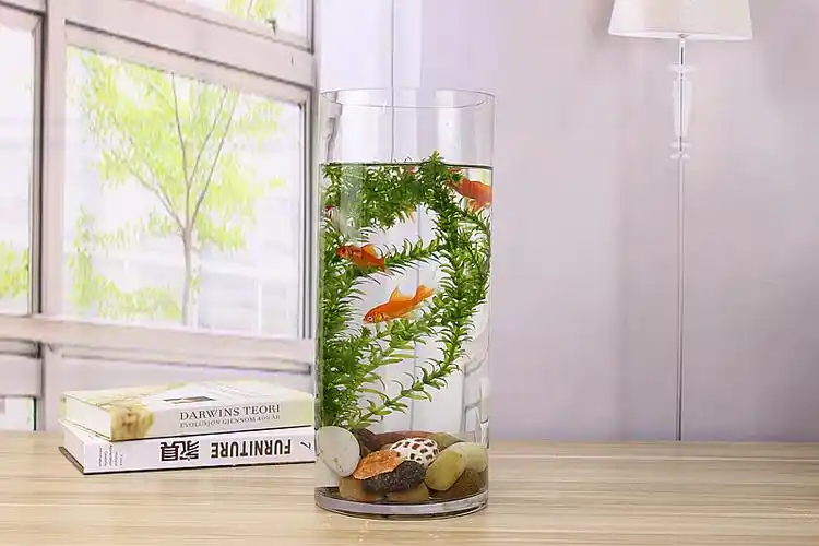 金鱼缸 玻璃 水族箱小型创意生态圆形 圆柱大号乌龟缸 造景培装饰