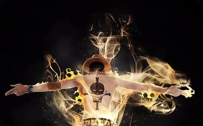 雷霆一击—【火拳艾斯流】