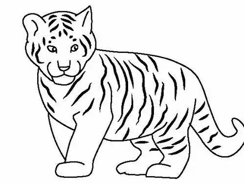 老虎简笔画画简单