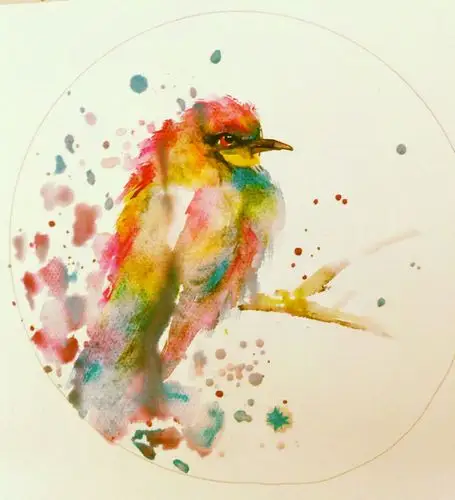 色彩斑斓的水彩画鸟,各种漂亮的鸟类.