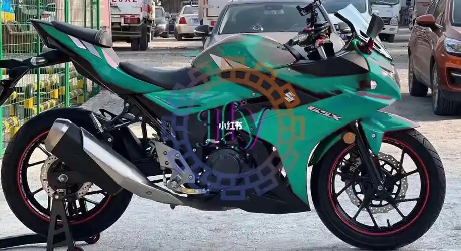 铃木gsx250r小小r全车外壳改色板画可定制