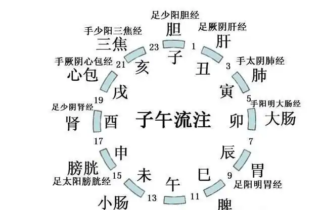 十二经脉环似的完美无缺,就像循环水一样