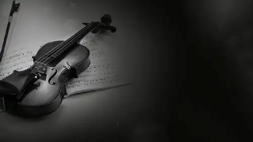 清新经典小提琴独奏ppt模板模版_word文档在线阅读与下载_免费文档