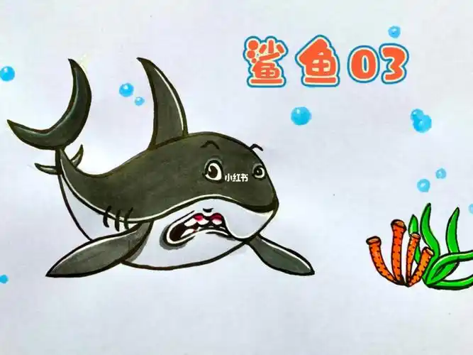 鲨鱼简笔画