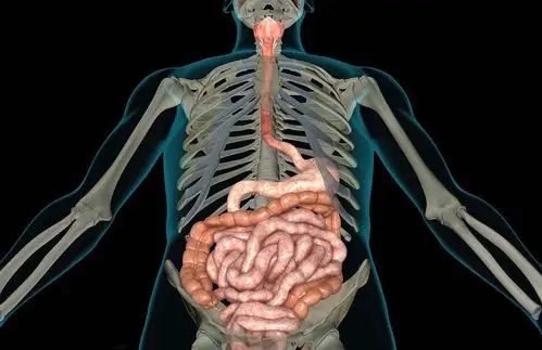 倾肠倒肚 倾肠倒肚打一个数字