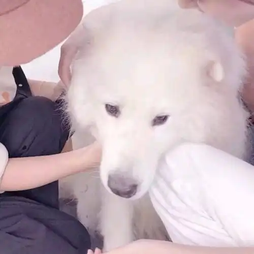 对象不是人系列情头