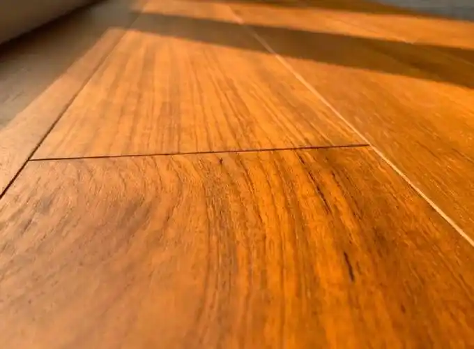 柚木的金黄色从何而来