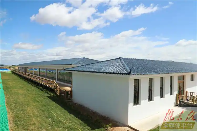 一起去看看庆阳的现代化羊舍吧