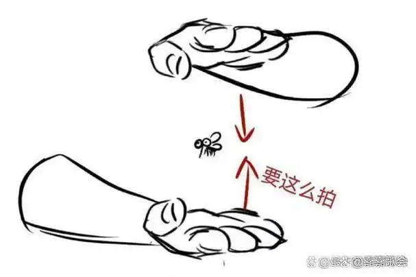 回想以前打蚊子的姿势就会发现,当你左右合掌拍击蚊子时,蚊子更简单"