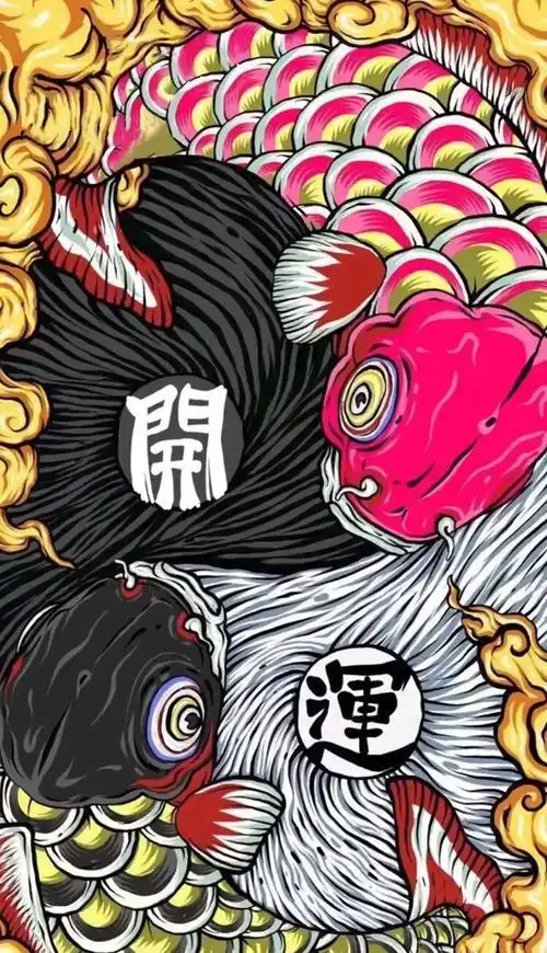 黄金招财猫鱼批发