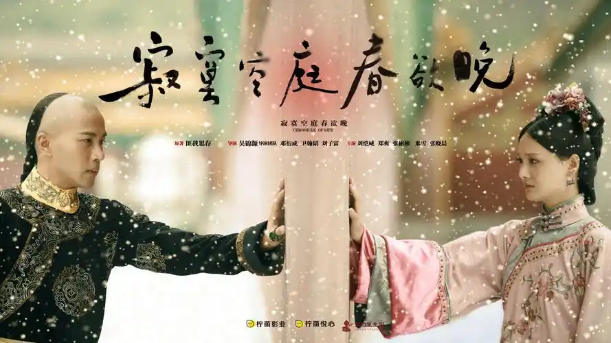 《寂寞空庭春欲晚》电视剧海报高清桌面壁纸