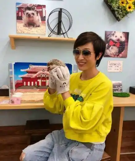 陈法蓉晒近期美照,绿色卡通卫衣配阔腿裤,51岁照样时髦_画面感_牛仔裤