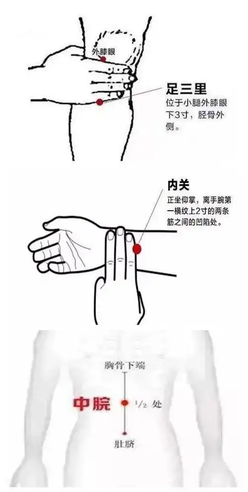 穴位按摩:按揉足三里,内关和中脘可以缓解胃痛症状,每次按压约5-10