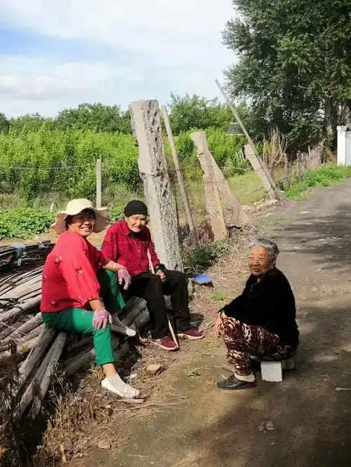 乡情散文:咱村里人的趣闻趣事|众乡亲|小个子|村书记|放像机_网易订阅