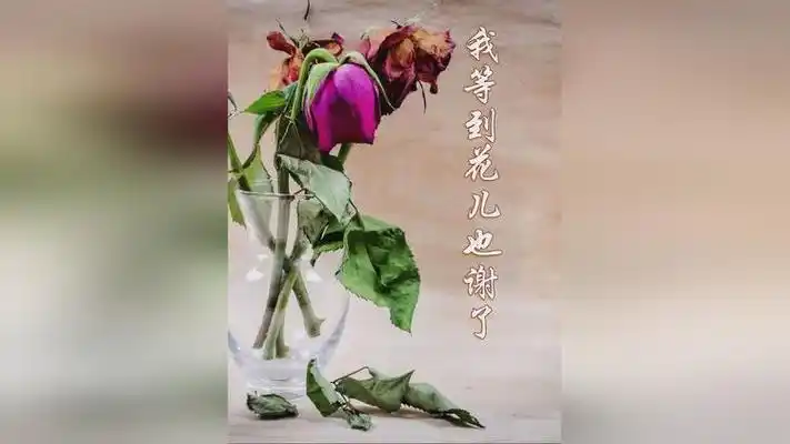 萨克斯老情歌,一曲《我等到花儿也谢了》,忧伤婉转娓娓动听!