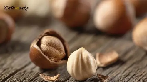 buy hazelnut powder / hazelnut flavor powder / hazelnut