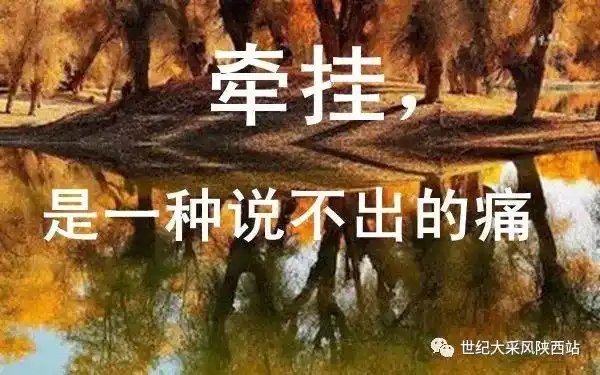 亲情的牵挂, 爱人的牵挂, 知己的牵挂, 真的是一种说不清楚的痛!