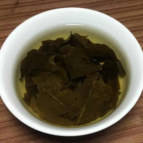 农家自制苦丁茶四川宜宾特产正宗大叶苦丁茶叶清凉去火500g包邮