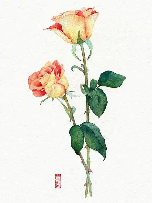 原创作品:水彩花卉