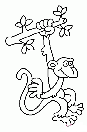 猴子简笔画图片