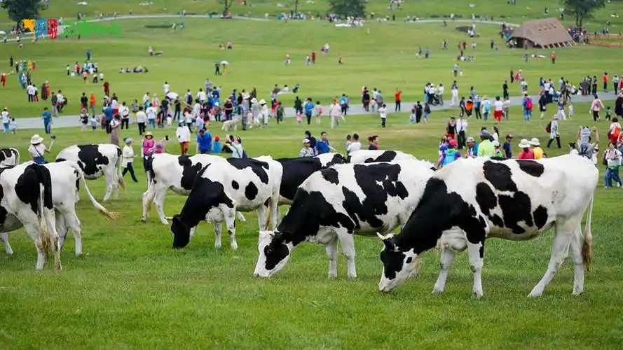 大连三寰牧场门票2021大连三寰牧场旅游攻略门票价格位置在哪