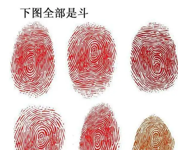 这几个斗簸箕的人乃天命姻缘今生注定要在一起