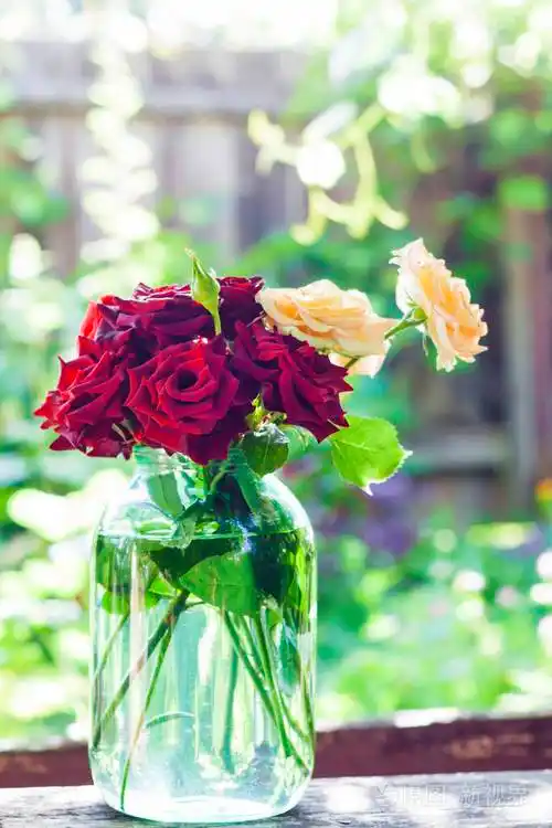 在模糊的绿色花园背景上的玻璃瓶里的复古玫瑰花束