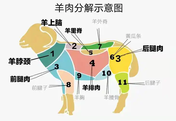 买羊肉,先分清羊脖肉,羊腿肉,上脑肉,口感差别大,搞懂后再买
