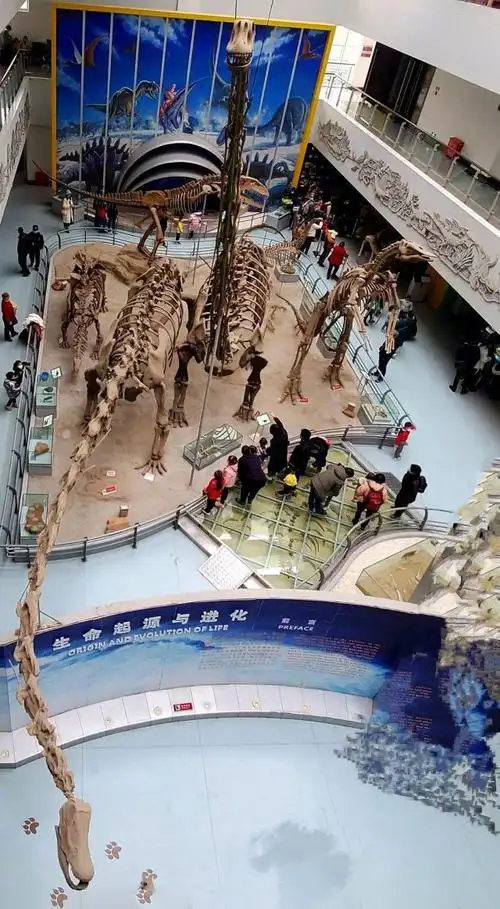 恐龙化石博物馆