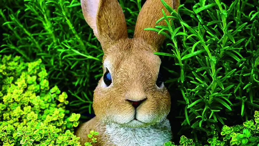 回车桌面>电脑壁纸>动物>可爱的小兔子文艺小清新写真>相关标签可爱的