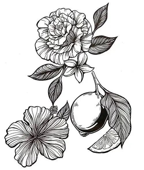 黑白装饰画花卉单体