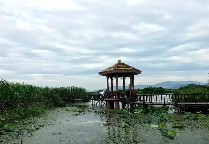 原创            浙江省湖州市下渚湖湿地风景区旅游攻略(下渚湖旅游)