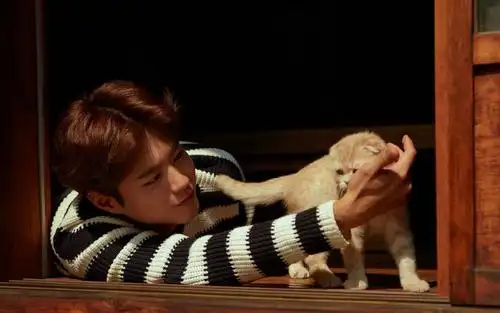 可爱帅气朴宝剑壁纸_天使面孔的朴宝剑