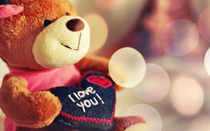 the romantic bear, sure she is lucky and has found her mr.