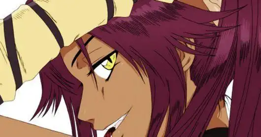 死神图鉴之四枫院夜一