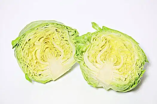 汤鱼凉拌卷心菜沙拉特写,卷心菜,霜女人,篮子,蔬菜白甘蓝卷心菜女青年