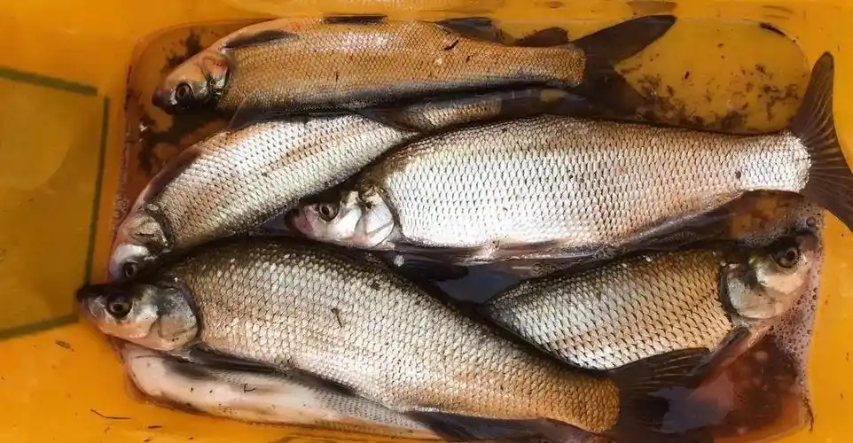 行业新闻 - 塞纳提克海上休闲运动俱乐部