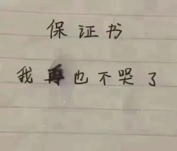 保证书我再也不哭了保证书不哭再也表情