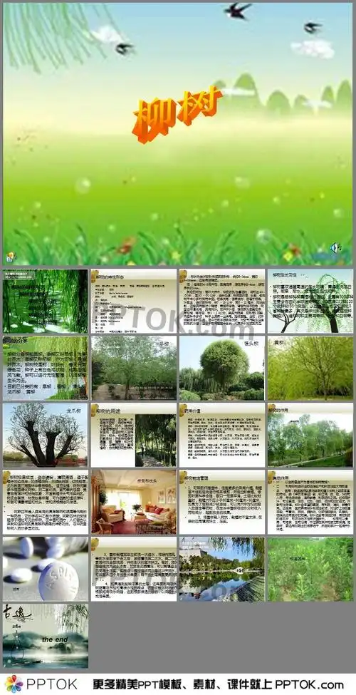 ppt内容这是柳树ppt下载,主要介绍了柳树的特性形态;柳树组成部分