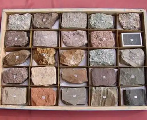 沉积岩标本(24种)