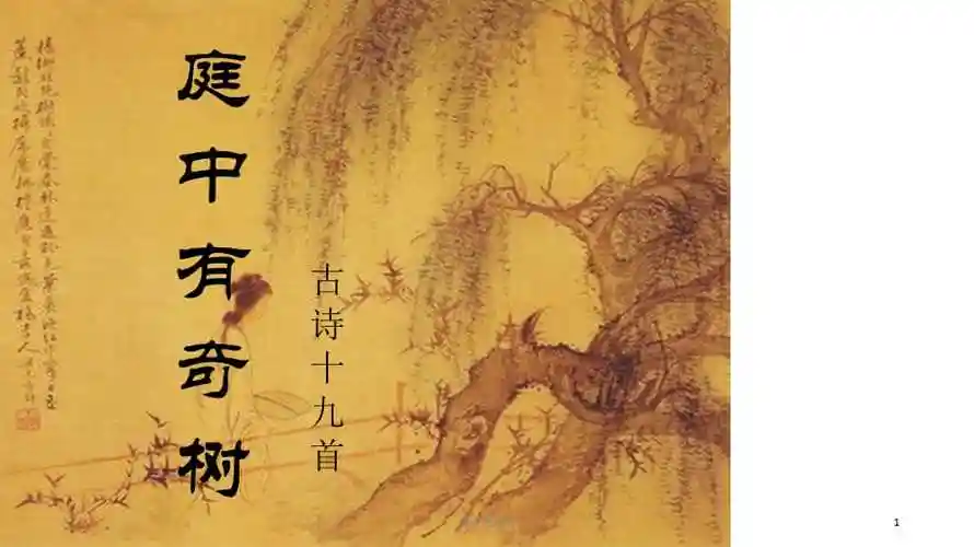 庭中有奇树课件