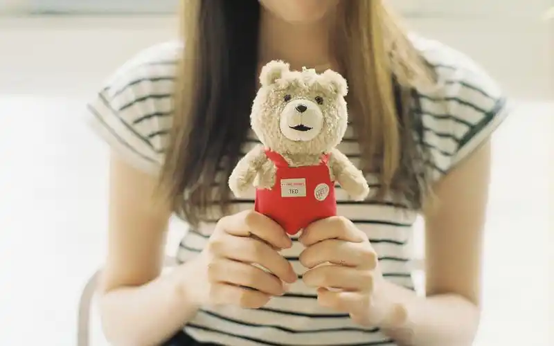 ted,泰迪熊,开心,可爱,呆萌,玩具,手,心情,怀旧,安静ted壁纸图片