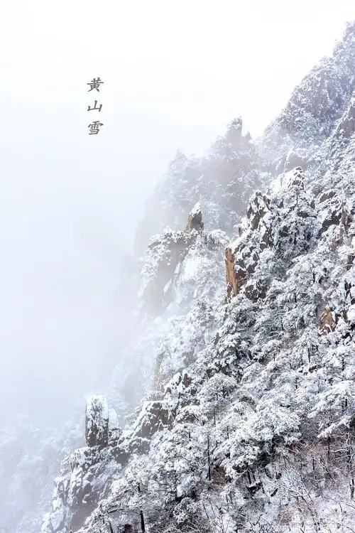 邂逅一场黄山雪