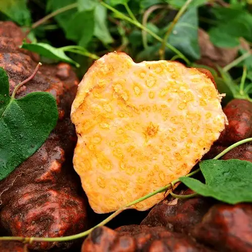 2斤装贵州野生何首乌新鲜生首白发转变黑发首乌制何首乌