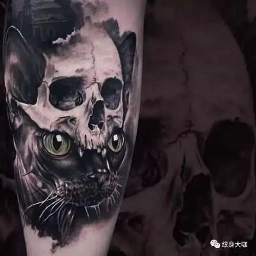 纹身手稿素材第496期斯芬克斯猫