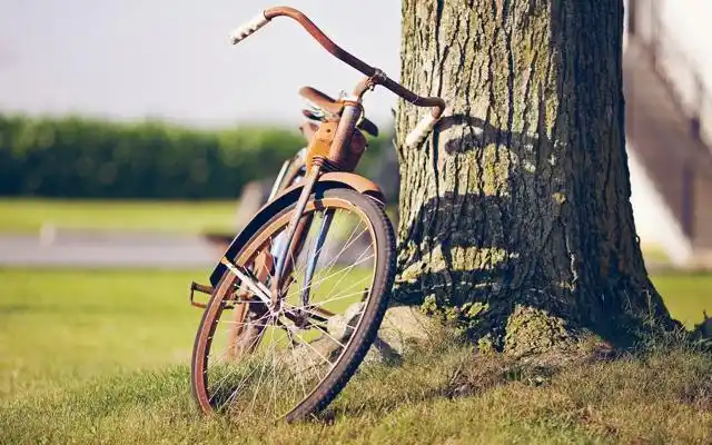 骑上自行车去旅行的 唯美意境高清壁纸图片