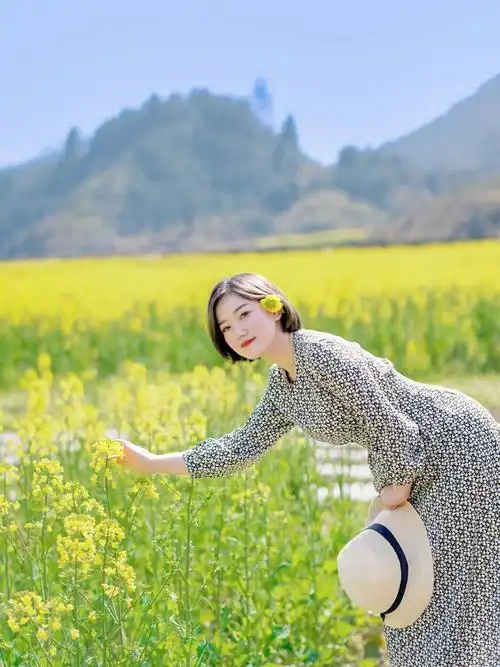 油菜花拍照姿势