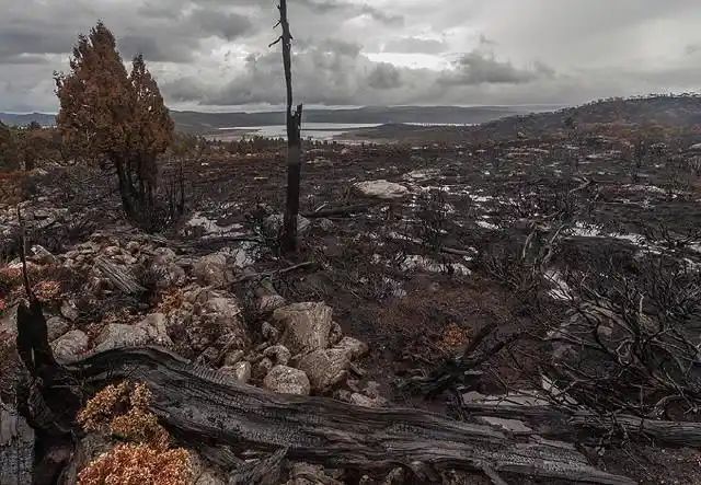 是否会想到尾气是形成酸雨的原因之一,是否会想到酸雨会破坏我们周边